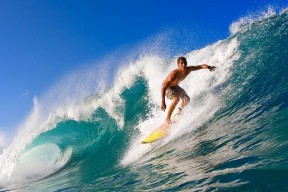 多米-德网争霸惊现跨界对决，阿扎伦卡势不可挡引热议